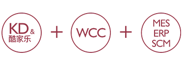 Information Management System Standardized Production Process