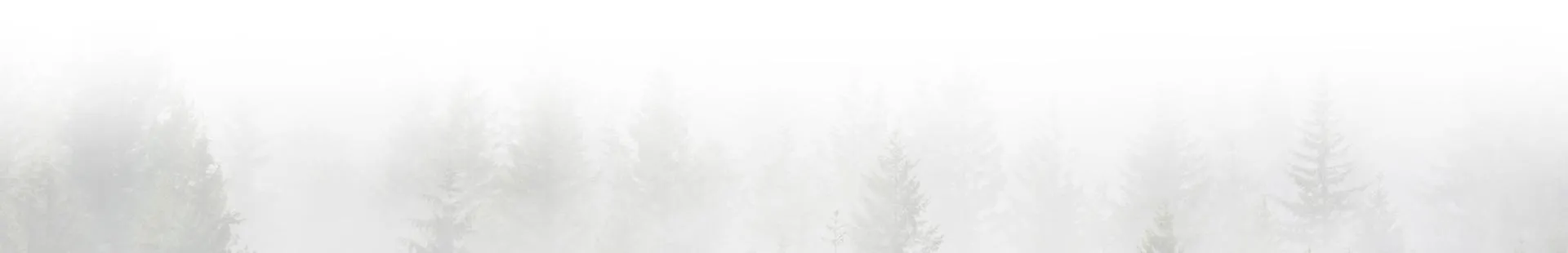 Environmental Standaras